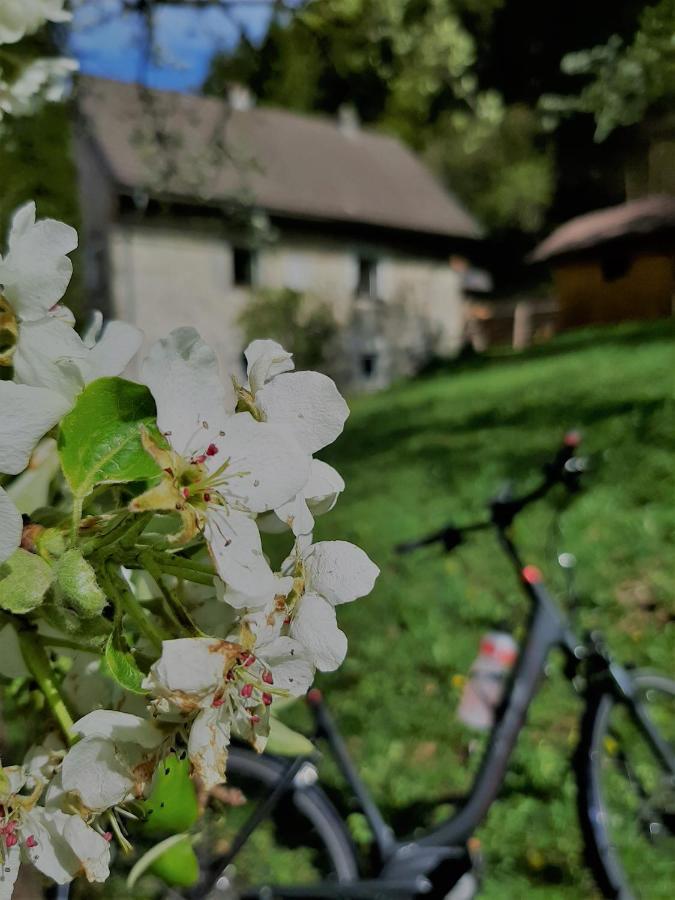 Ferienhaus Hirschnest Sankt Pankraz Exteriér fotografie
