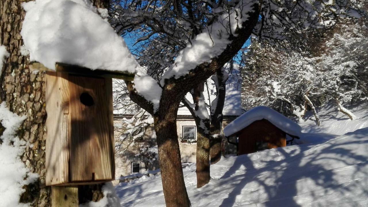 Ferienhaus Hirschnest Sankt Pankraz Exteriér fotografie