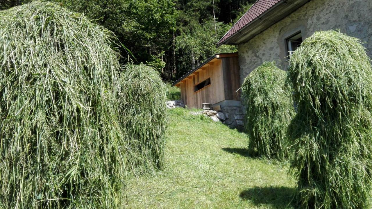Ferienhaus Hirschnest Sankt Pankraz Exteriér fotografie