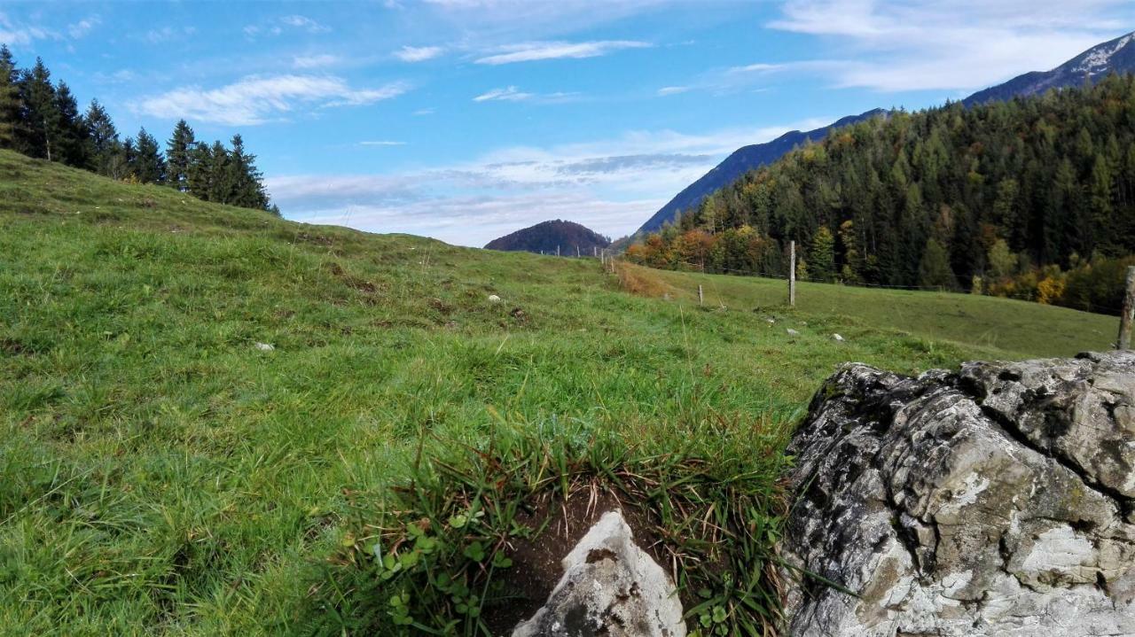 Ferienhaus Hirschnest Sankt Pankraz Exteriér fotografie