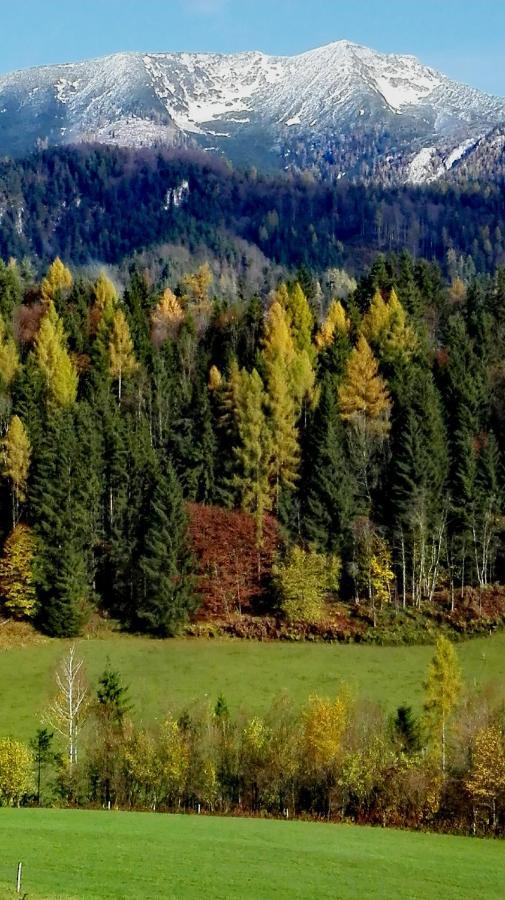 Ferienhaus Hirschnest Sankt Pankraz Exteriér fotografie